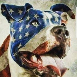 Meet your Posher, Roger